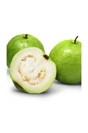 Psidium Guava Meyvesi Tohumu 3 Adet Tohum