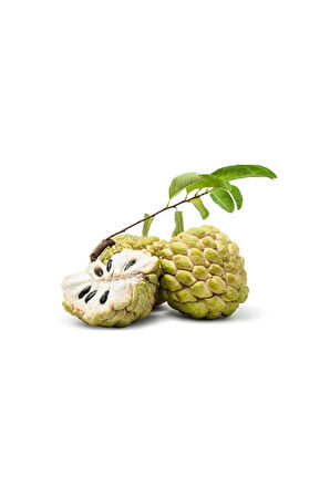 Tropikal Sugar Apple Meyvesi Tohumu 3 Adet Tohum Şeker Elma