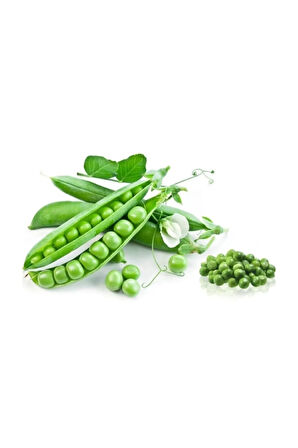 Bezelye Tohumu 10 Adet Tohum Sebze Tohumu