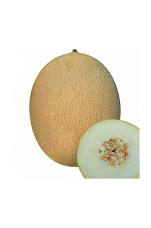 Ananas Kavun Tohumu 15 Adet Tohum Bal Kavun