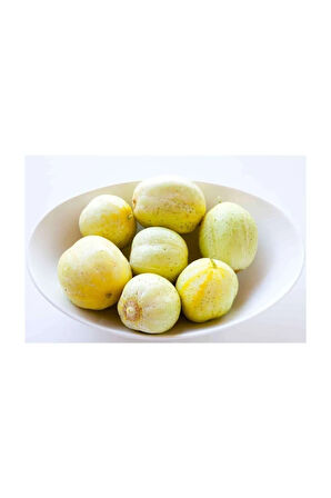 Nadir İthal Limon Salatalık Tohumu 5 Adet Tohum Sarı Salatalık Lemon Cucumber