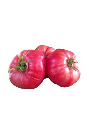 Nadir İri Pembe Domates Tohumu 10 Adet Tohum Bulgar Domatesi
