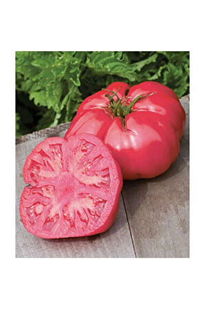 Nadir İri Pembe Domates Tohumu 10 Adet Tohum Bulgar Domatesi