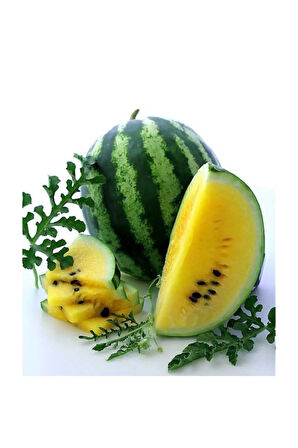 Nadir İthal Sarı Karpuz Tohumu 3 Adet Tohum