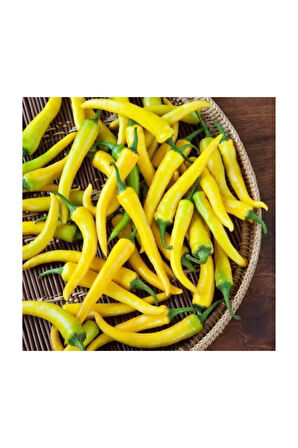 Eko Paket 200 Adet Tohum Sarı Turşuluk Acı Biber Tohumu Sarı Süs Biberi