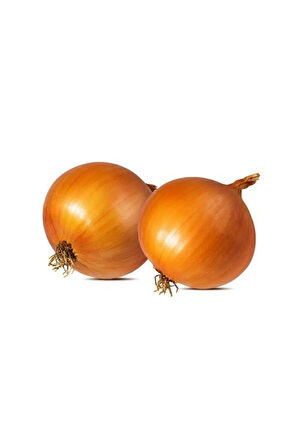 Eko Paket 1000 Adet Tohum İthal Kışlık Soğan Tohumu