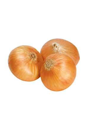 Eko Paket 1000 Adet Tohum İthal Kışlık Soğan Tohumu