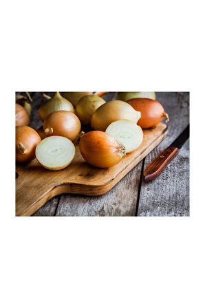 Eko Paket 1000 Adet Tohum İthal Kışlık Soğan Tohumu