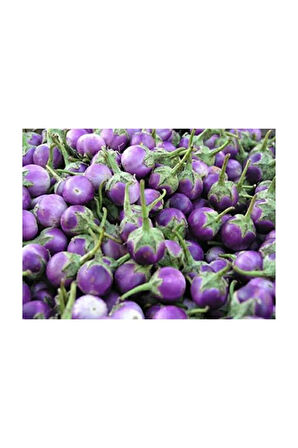 Eko Paket 75 Adet Tohum Nadir Thailand Mini Dolmalık Patlıcan Tohumu