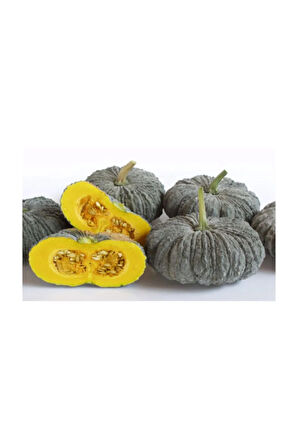 Eko Paket 50 Adet Tohum İthal Thailand Bal Kabağı Tohumu Kabak Tohumu