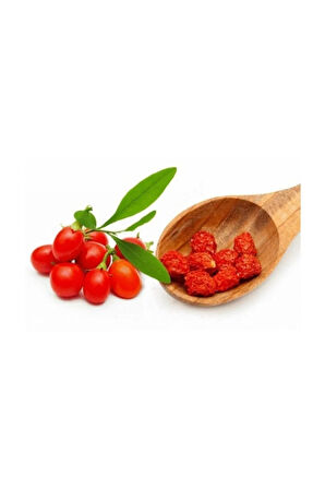 Süper Paket 250 Adet Tohum İthal Goji Berry Tohumu Gojiberry Goji