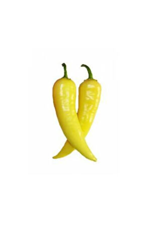Süper Paket 400 Adet Tohum Acı Turşuluk Sarı Süs Biberi Tohumu Biber Tohumu