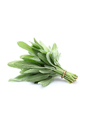 Süper Paket 200 Adet Tohum Nadir Ada Çayı Tohumu Dağ Çayı Dağçayı Tohumu