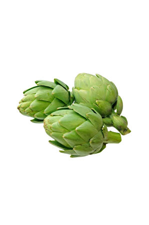 Süper Paket 200 Adet Tohum İthal Nadir Enginar Tohumu