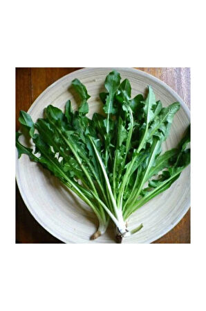 Süper Paket 2000 Adet Tohum Geleneksel Nadir Hindibağ Tohumu Hindiba