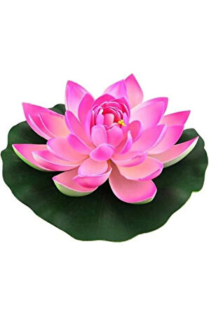 Süper Paket 20 Adet Tohum Lotus Tohumu Nilüfer Çiçeği Tohumu