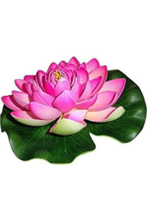 Süper Paket 20 Adet Tohum Lotus Tohumu Nilüfer Çiçeği Tohumu