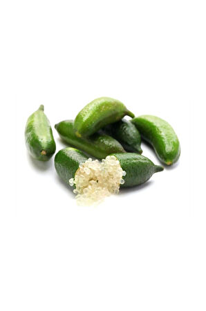 Nadir İthal Parmak Limon Tohumu 3 Adet Tohum