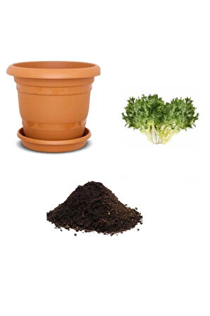 Nadir Ithal Kıvırcık Tere Tohumu Ekim Seti