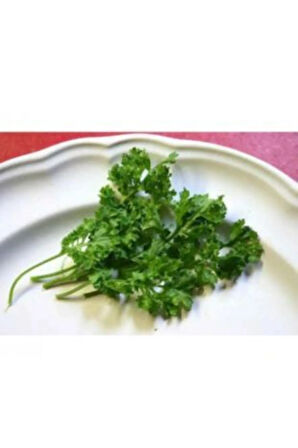 Nadir Ithal Kıvırcık Tere Tohumu Ekim Seti