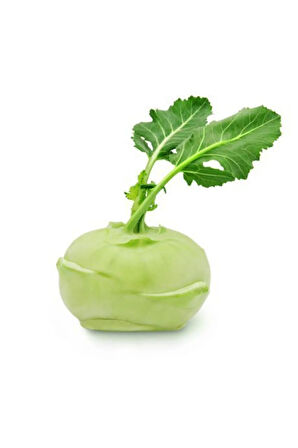 Süper Paket 400 Tohum Meşhur Alabaş Tohumu Kohlrabi Tohumu