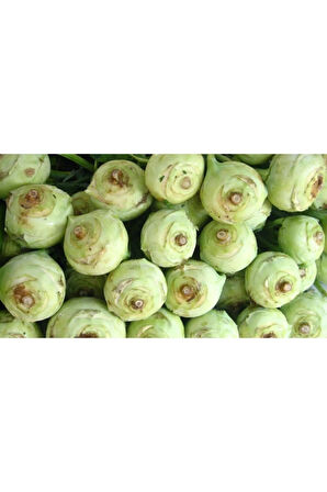 Süper Paket 400 Tohum Meşhur Alabaş Tohumu Kohlrabi Tohumu