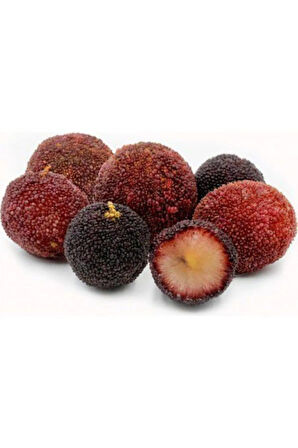 Ithal Tropikal Çin Çileği Tohumu Ekim Seti Myrica Tohumu 2 Tohum Saksı Toprak Kombin