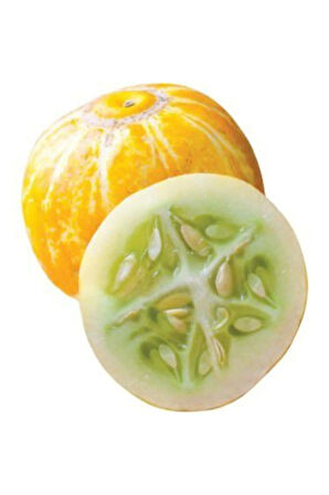 Nadir Ithal Limon Salatalık Tohumu Ekim Seti 5 Tohum Saksı Toprak Kombin