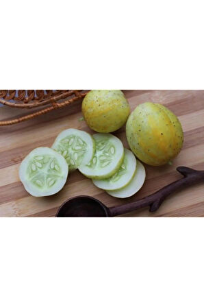 Nadir Ithal Limon Salatalık Tohumu Ekim Seti 5 Tohum Saksı Toprak Kombin