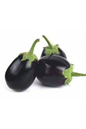 Iri Topan Dolmalık Patlıcan Tohumu Ekim Seti 10 Tohum Saksı Toprak Kombin