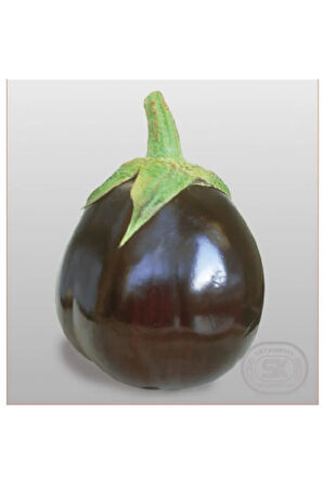 Iri Topan Dolmalık Patlıcan Tohumu Ekim Seti 10 Tohum Saksı Toprak Kombin