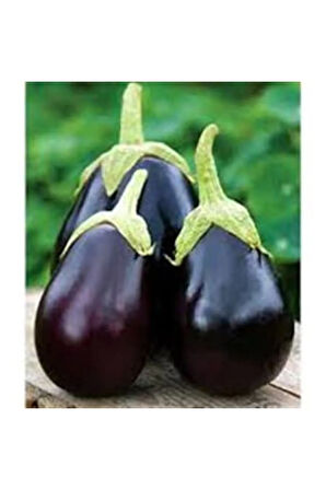 Iri Topan Dolmalık Patlıcan Tohumu Ekim Seti 10 Tohum Saksı Toprak Kombin