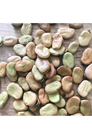 Bakla Tohumu Ekim Seti 10 Tohum Fasulye Tohumu Saksı Toprak Kombin