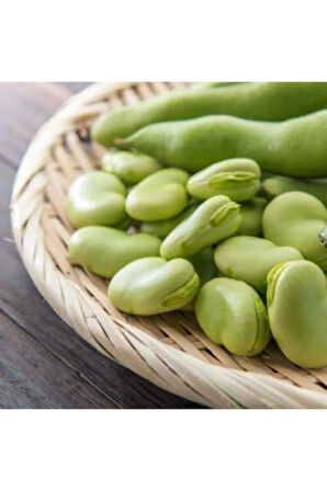 Bakla Tohumu Ekim Seti 10 Tohum Fasulye Tohumu Saksı Toprak Kombin