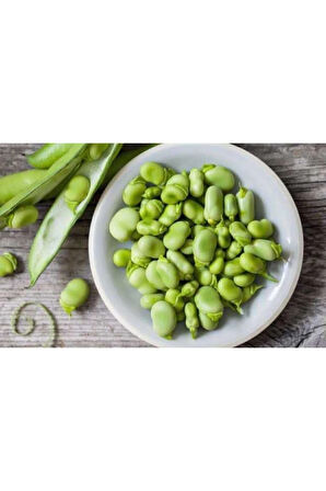 Bakla Tohumu Ekim Seti 10 Tohum Fasulye Tohumu Saksı Toprak Kombin