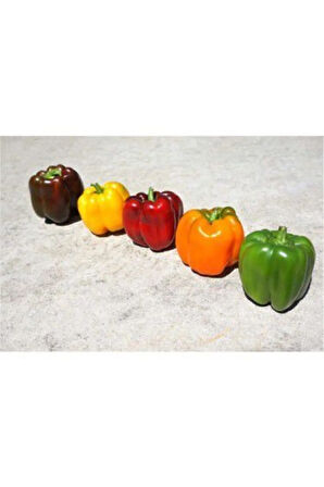 Rengarenk Dolmalık Biber Tohumu Ekim Seti 10 Tohum Saksı Toprak Kombin