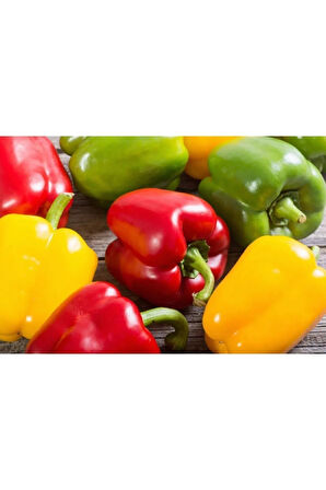 Rengarenk Dolmalık Biber Tohumu Ekim Seti 10 Tohum Saksı Toprak Kombin