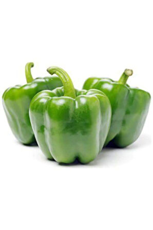 Eko Paket 75 Tohum Antep Acı Dolmalık Biber Tohumu Antep Biberi