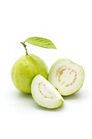 Nadir Ithal Psidium Guava Meyvesi Tohumu Ekim Seti 3 Tohum Saksı Toprak Kombin