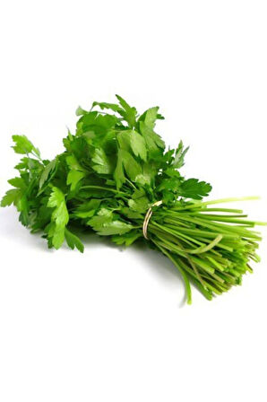 Süper Paket 2000 Tohum Maydanoz Tohumu Geniş Yaprak Maydonoz Tohumu