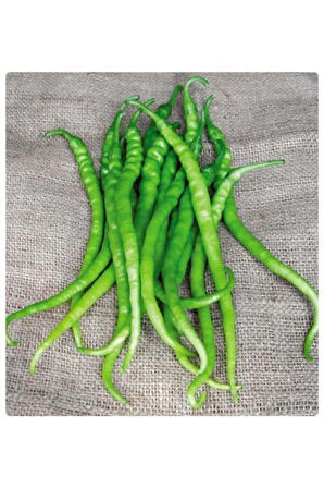 Eko Paket 200 Tohum Meşhur Sivri Tatlı Kıl Biber Tohumu