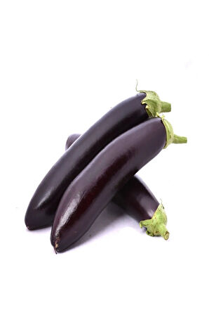 Kemer Patlıcan Tohumu Ekim Seti 15 Tohum Saksı Toprak Kombin