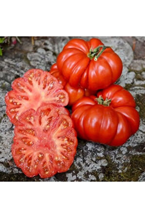Nadir Dev Italyan Pileli Domates Tohumu 5 Tohum Antik Domates
