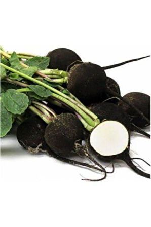 Eko Paket 500 Tohum Nadir Siyah Turp Tohumu