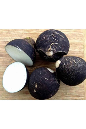 Eko Paket 500 Tohum Nadir Siyah Turp Tohumu