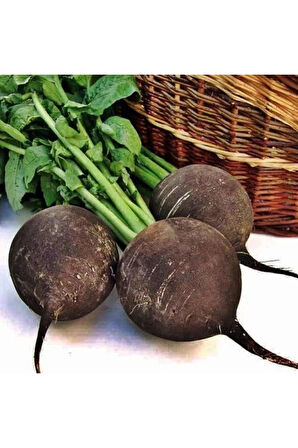 Eko Paket 500 Tohum Nadir Siyah Turp Tohumu