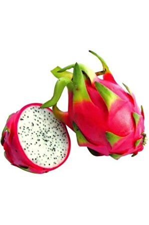 Tropikal Pitaya Tohumu Ekim Seti 5 Tohum Ejder Meyvesi Tohumu Pithaya Saksı Toprak Kombin