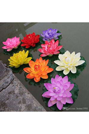 Nadir Ithal Lotus Tohumu 3 Tohum Lotus Çiçeği Tohumu Nilüfer Tohumu Su Zambağı Tohumu Zambak Tohumu