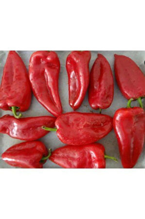 Közlemelik Kırmızı Biber Tohumu Ekim Seti Tatlı Biber Tohumu 20 Tohum Saksı Toprak Kombin