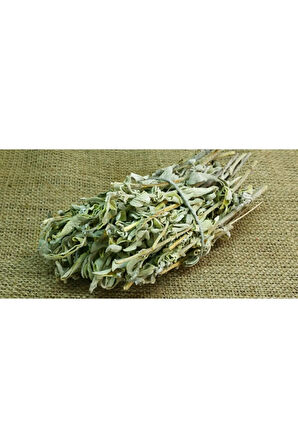 Eko Paket 35 Tohum Nadir Ada Çayı Tohumu Adaçayı Tohumu